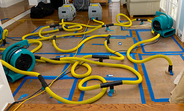 Professional Water Damage Restoration technician working in Charleston, MO
